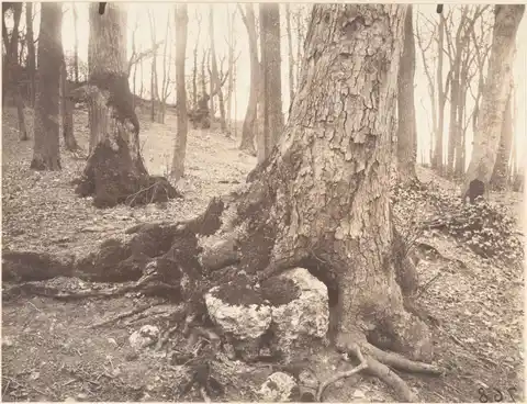 Atget y la ciudad como archivo sensible